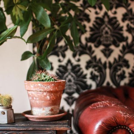 Coliving Trastevere Roma Dış mekan fotoğraf