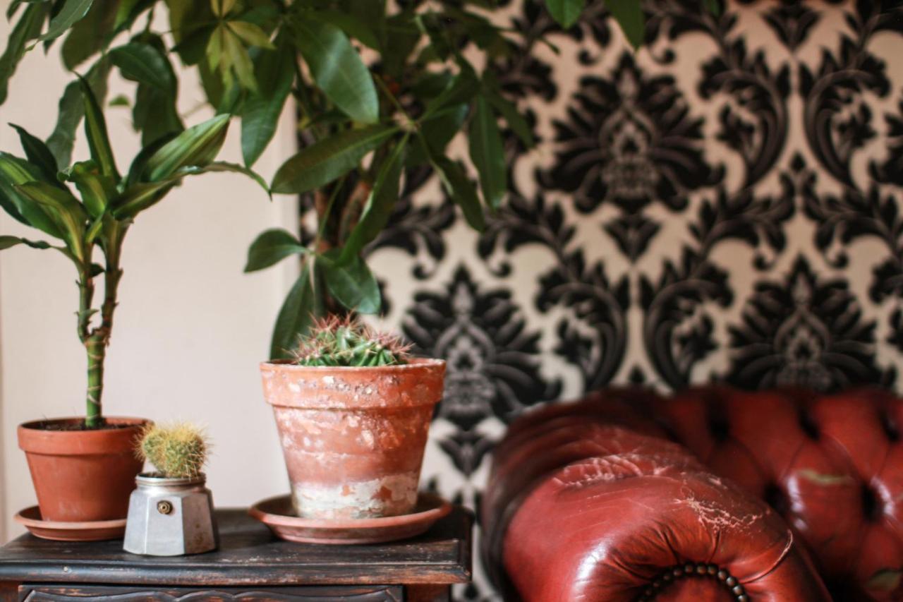 Coliving Trastevere Roma Dış mekan fotoğraf